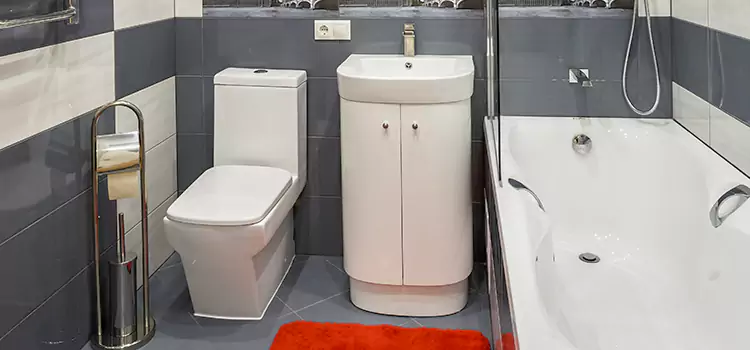 Hansgrohe Shaving Mirror Canmore